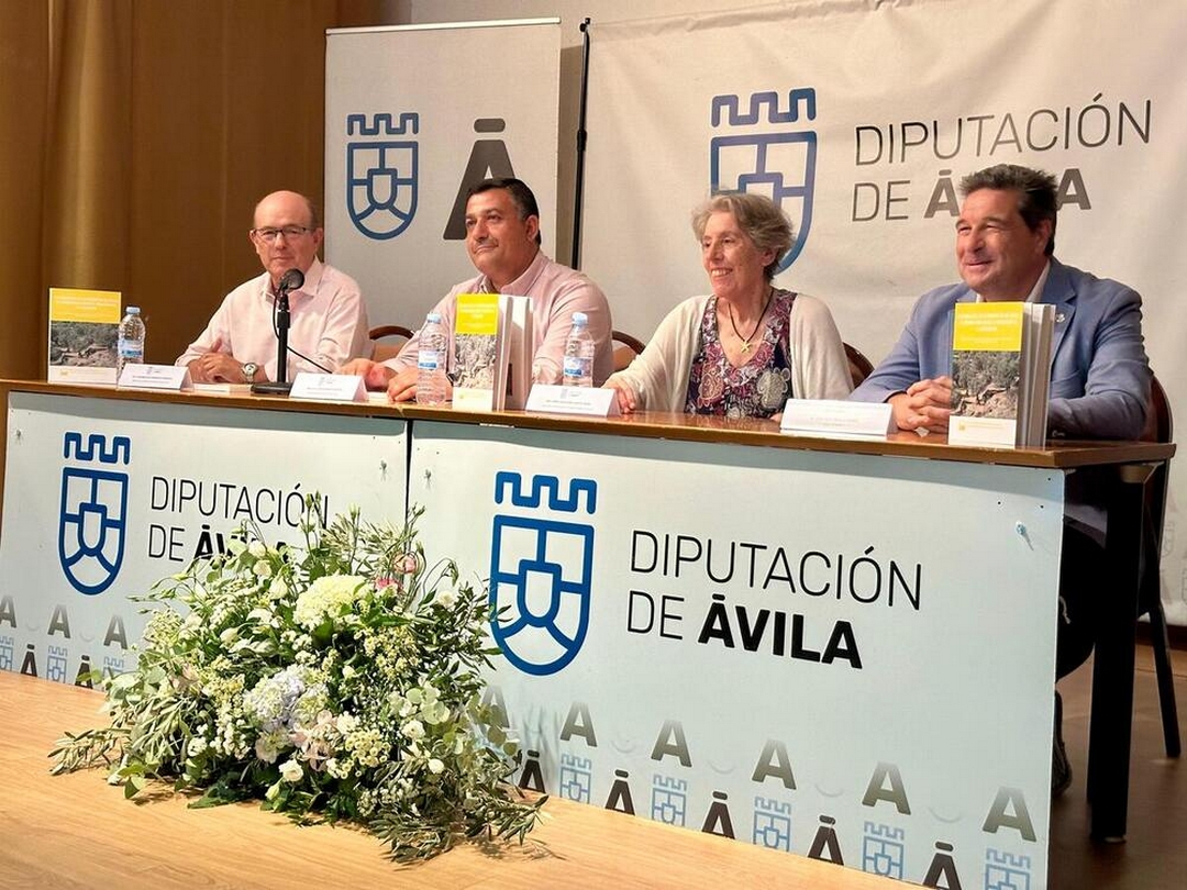 Los bancales de la provincia de Ávila: un patrimonio rural tradicional a conservar